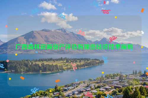 廣西森林資源資產評估有哪些經濟技術原則
