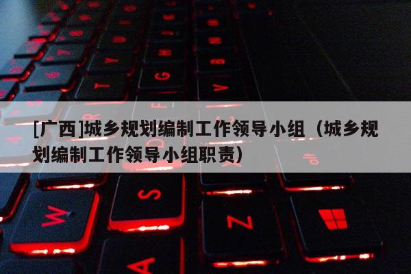 [廣西]城鄉規劃編制工作領導小組（城鄉規劃編制工作領導小組職責）