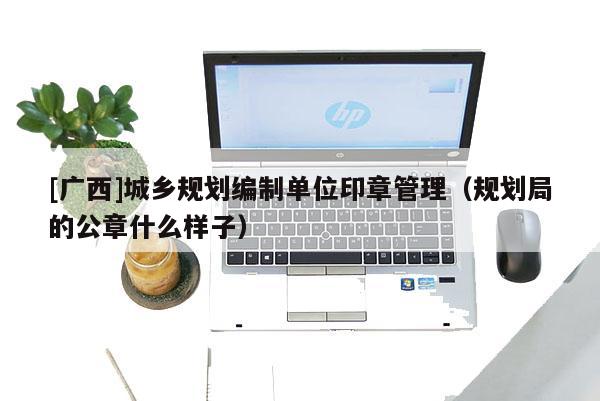 [廣西]城鄉規劃編制單位印章管理（規劃局的公章什么樣子）