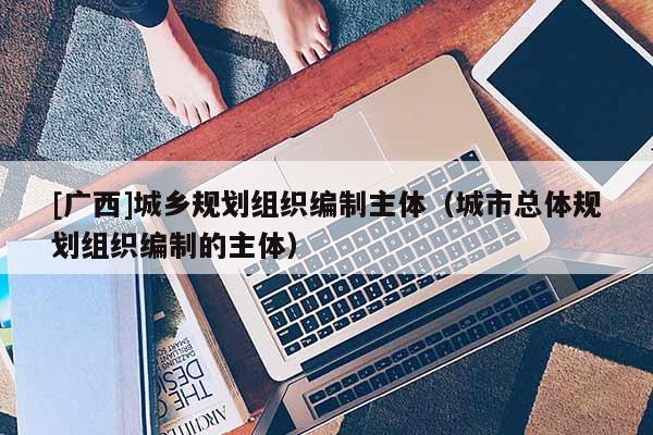 [廣西]城鄉規劃組織編制主體（城市總體規劃組織編制的主體）