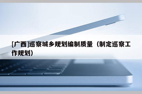 [廣西]巡察城鄉規劃編制質量（制定巡察工作規劃）