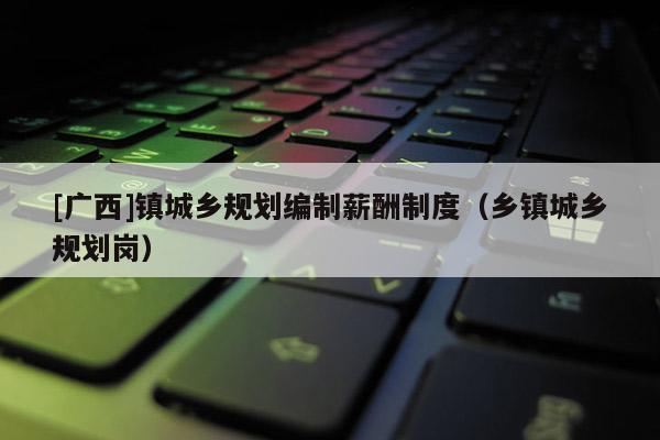 [廣西]鎮城鄉規劃編制薪酬制度（鄉鎮城鄉規劃崗）
