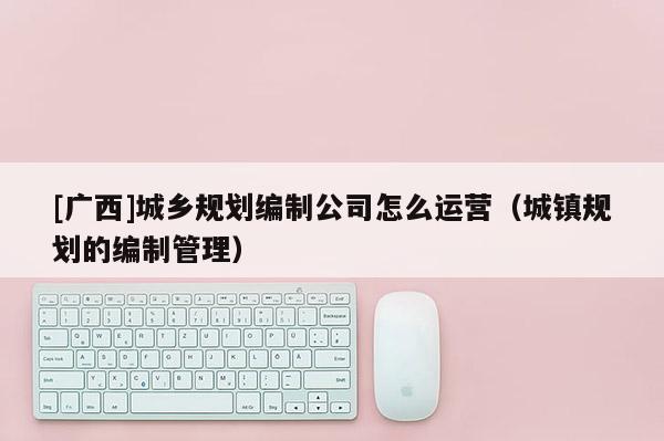 [廣西]城鄉規劃編制公司怎么運營（城鎮規劃的編制管理）