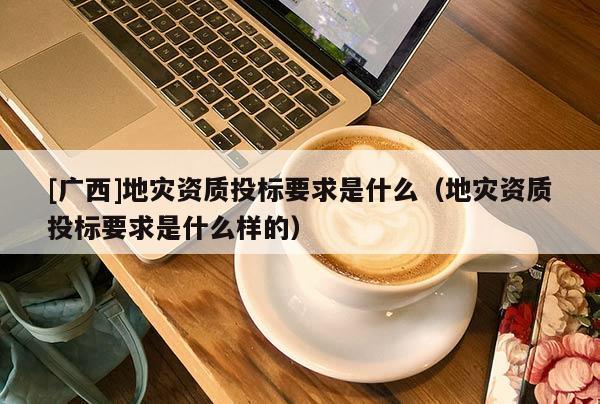 [廣西]地災資質投標要求是什么（地災資質投標要求是什么樣的）