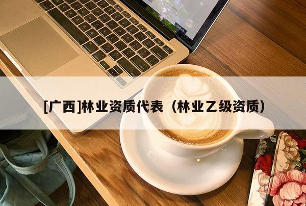 [廣西]林業資質代表（林業乙級資質）