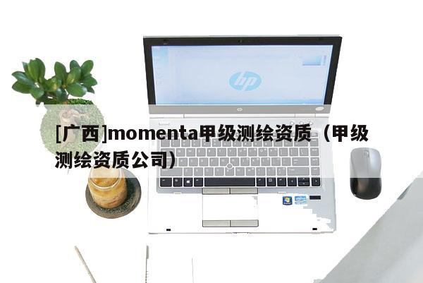 [廣西]momenta甲級測繪資質（甲級測繪資質公司）