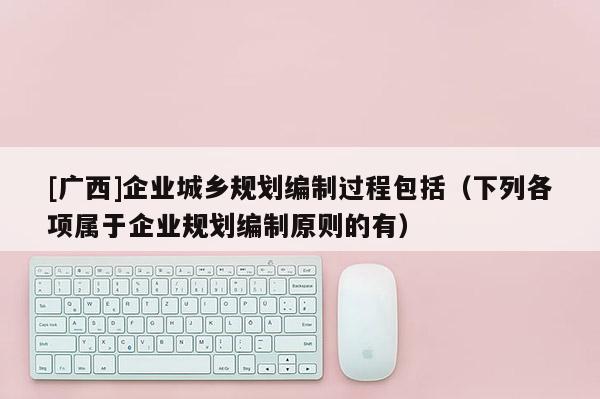 [廣西]企業城鄉規劃編制過程包括（下列各項屬于企業規劃編制原則的有）