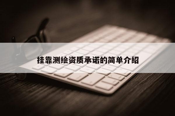掛靠測繪資質承諾的簡單介紹