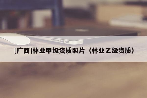 [廣西]林業(yè)甲級資質(zhì)照片（林業(yè)乙級資質(zhì)）