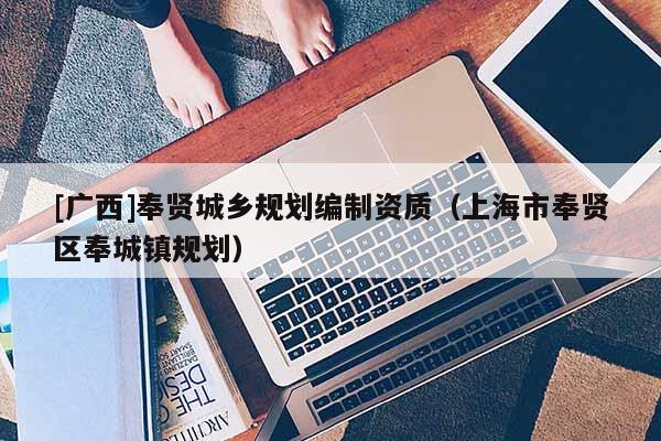 [廣西]奉賢城鄉規劃編制資質（上海市奉賢區奉城鎮規劃）