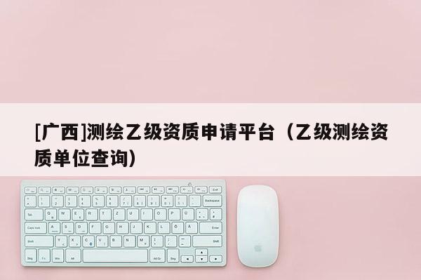 [廣西]測繪乙級資質申請平臺（乙級測繪資質單位查詢）