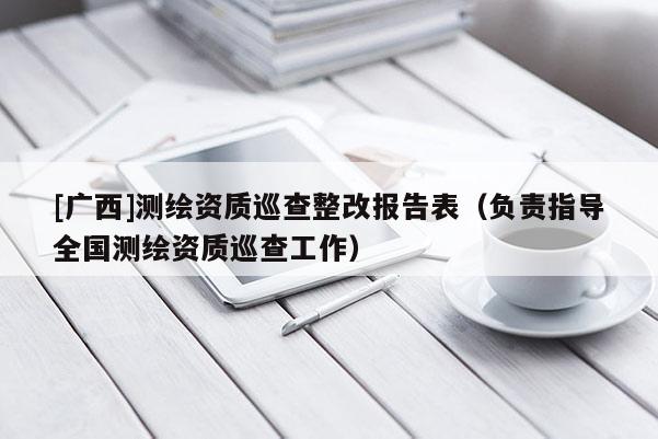 [廣西]測繪資質巡查整改報告表（負責指導全國測繪資質巡查工作）