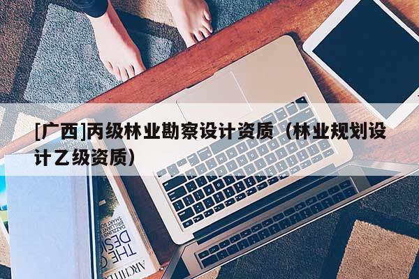 [廣西]丙級林業(yè)勘察設(shè)計資質(zhì)（林業(yè)規(guī)劃設(shè)計乙級資質(zhì)）