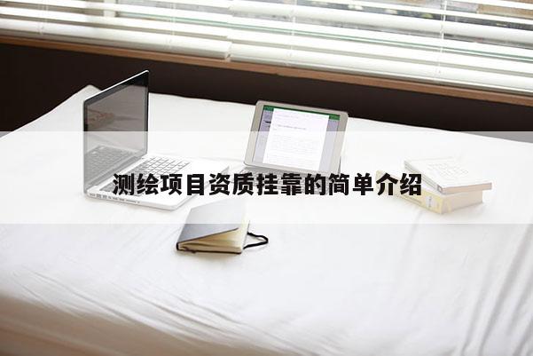 測繪項目資質(zhì)掛靠的簡單介紹