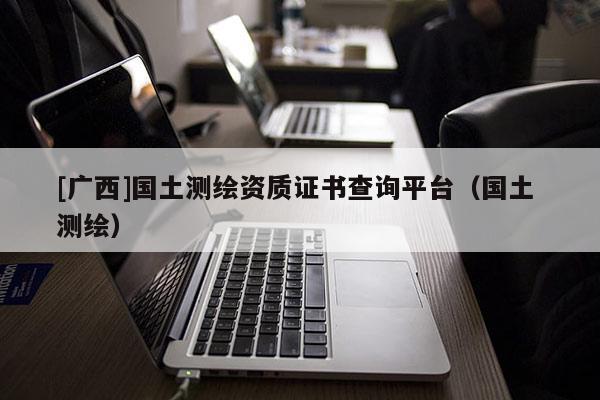 [廣西]國土測繪資質證書查詢平臺（國土 測繪）