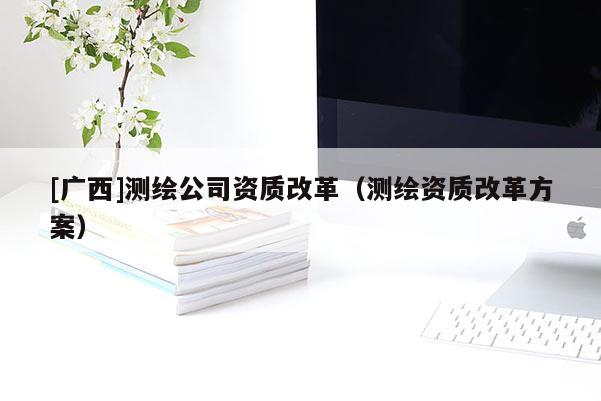 [廣西]測繪公司資質改革（測繪資質改革方案）