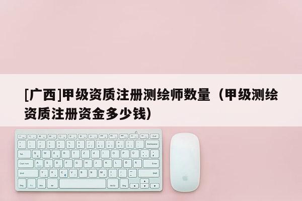[廣西]甲級資質注冊測繪師數量（甲級測繪資質注冊資金多少錢）