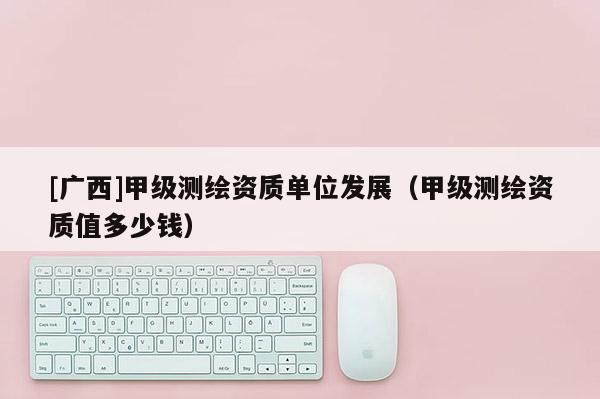 [廣西]甲級測繪資質單位發展（甲級測繪資質值多少錢）