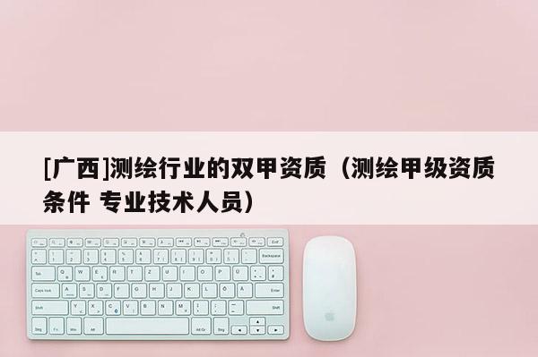[廣西]測繪行業的雙甲資質（測繪甲級資質條件 專業技術人員）