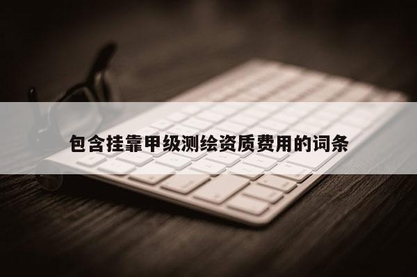 包含掛靠甲級測繪資質費用的詞條