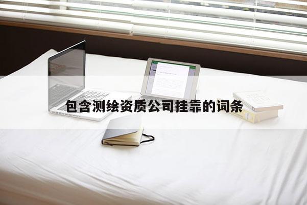 包含測(cè)繪資質(zhì)公司掛靠的詞條