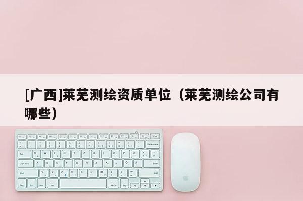 [廣西]萊蕪測(cè)繪資質(zhì)單位（萊蕪測(cè)繪公司有哪些）