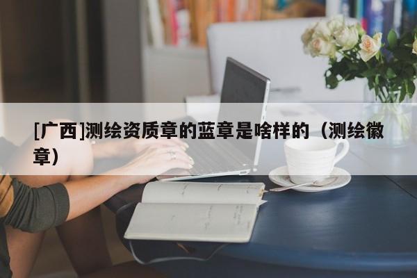 [廣西]測繪資質(zhì)章的藍章是啥樣的（測繪徽章）