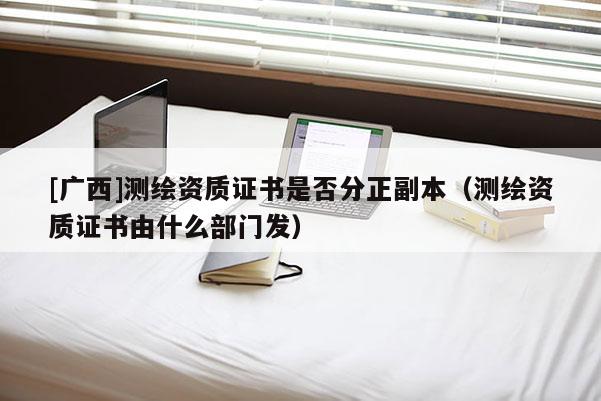 [廣西]測繪資質證書是否分正副本（測繪資質證書由什么部門發）