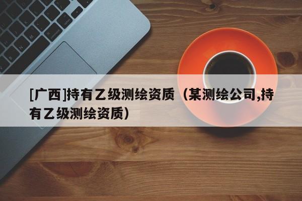 [廣西]持有乙級測繪資質（某測繪公司,持有乙級測繪資質）
