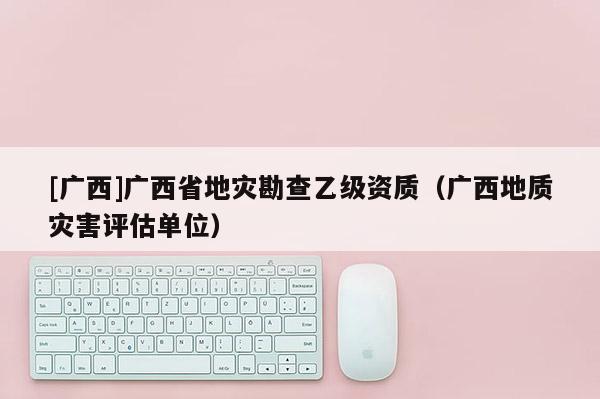 [廣西]廣西省地災勘查乙級資質（廣西地質災害評估單位）